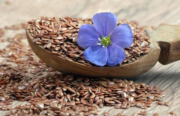 Основними покупцями культури стали Франція (