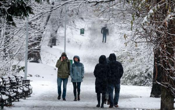 Грудень був аномально теплим та посушливим для рослин