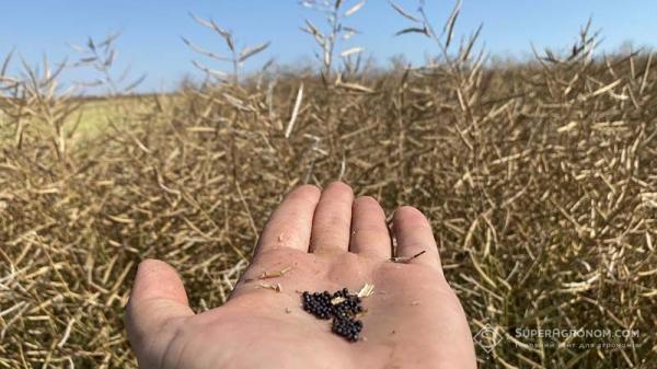 Ринок нафти вже зараз реагує на можливе загострення конфлікту між США та Іраном