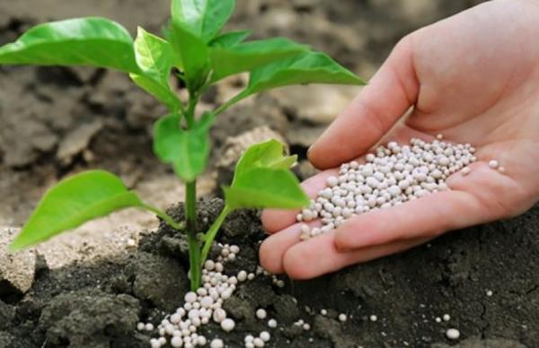 ВАР та УКАБ попереджають, що наслідки дефіциту можуть мати системний характер