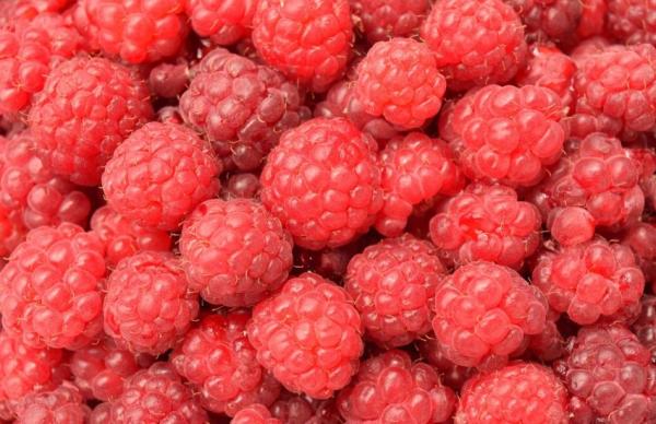 Аналітики зазначають, що в попередні роки свіжа малина з України переважно експортувалася