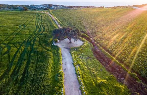 Такий результат забезпечили 605 завершених аукціонів з продажу спеціальних дозволів на користування надрами