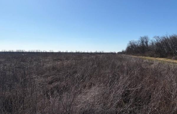 Йдеться про землі у Березівському районі Одеської області