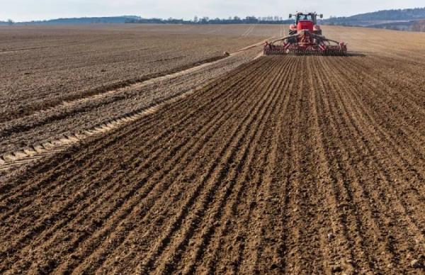 Загальна площа посівів пшениці, кукурудзи, ріпаку, соняшнику, сої та ячменю перевищила позначк у 80 тисяч гектарів