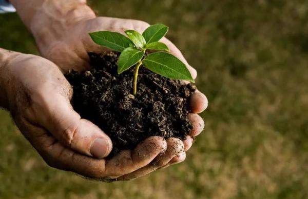 Документ передбачає приєднання до механізму спрощеного обміну генетичними ресурсами 