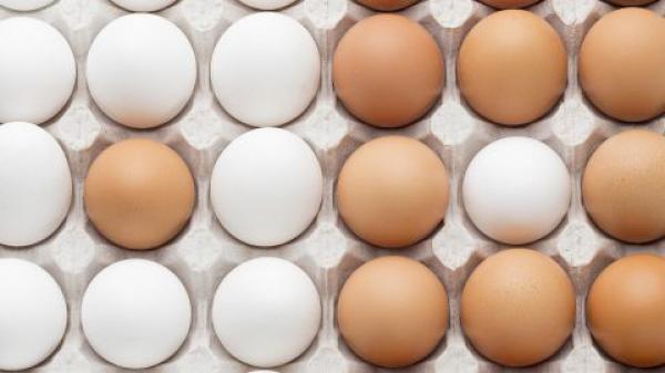 Українці не відмовляться від яєць на свято навіть за суттєвого здорожчання: ціни