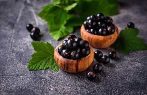 Чорна смородина має експортний потенціал