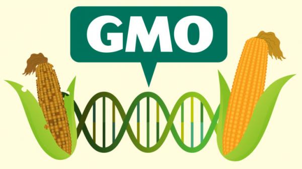 Україна ставить під контроль ГМО