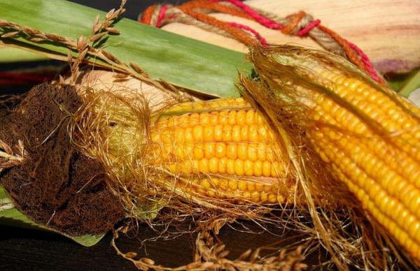 Зменшення зовнішніх цін чинить прямий тиск на внутрішній ринок