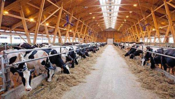 Галузь уже перебуває під тиском одразу кількох факторів