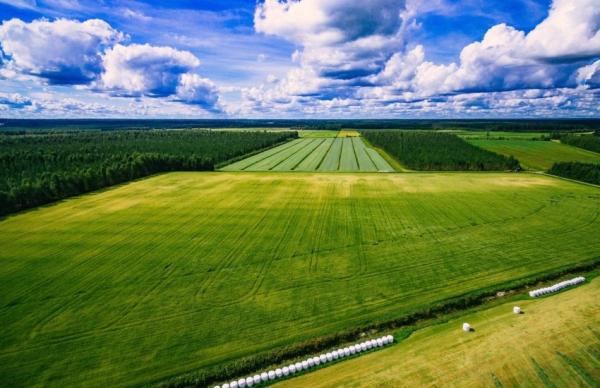 Нові правила насамперед стосуються південних і прифронтових регіонів — Запорізької, Херсонської, Миколаївської та Одеської областей