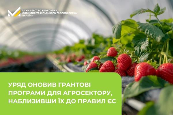 Оновлення має зробити державну підтримку бізнесу більш ефективною