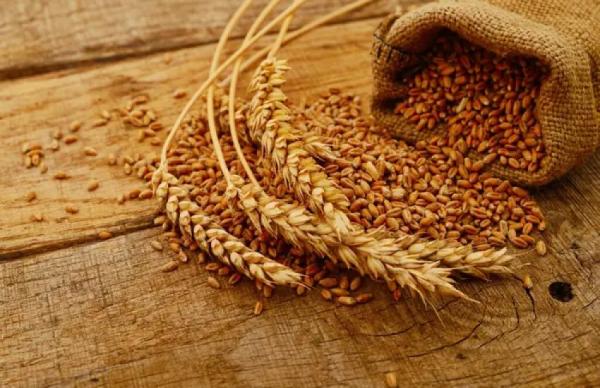 Оцінка світового споживання зернових знизилася на 1 млн т порівняно з березневим звітом