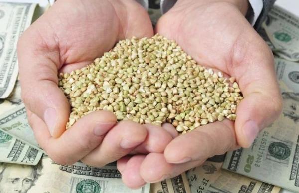 Загальний зовнішньоторговельний оборот аграрної продукції за шість місяців року становив 17,3 млрд доларів