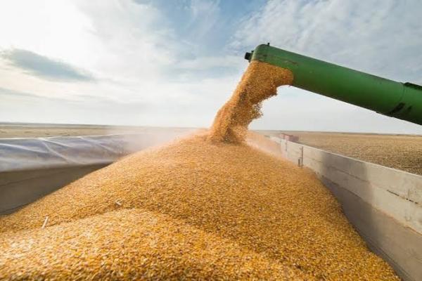 Україна залишається одним із найбільших експортерів зерна у світі