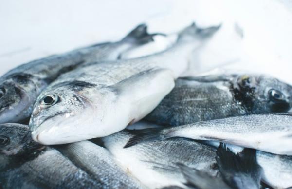 Рибна продукція залишається однією з найбільш імпортозалежних категорій продовольства в Україні