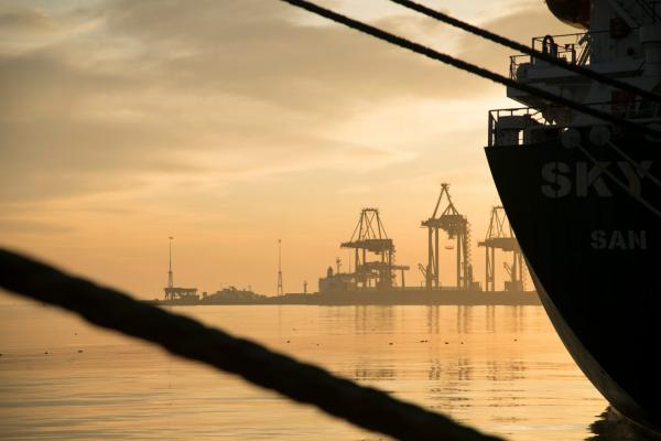 За перші 21 день вересня Україна експортувала 1,6 млн тонн аграрної продукції