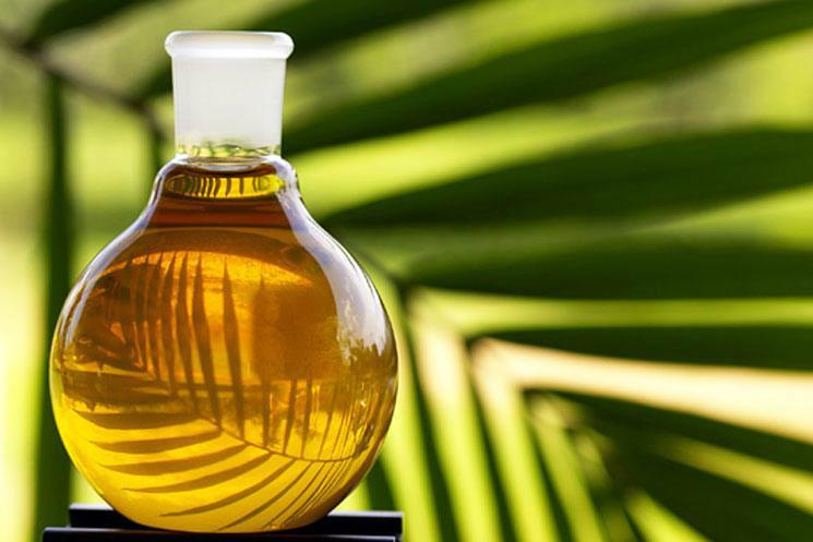 ВР заборонить використання пальмової олії у виробництві харчових продуктів — парламент 