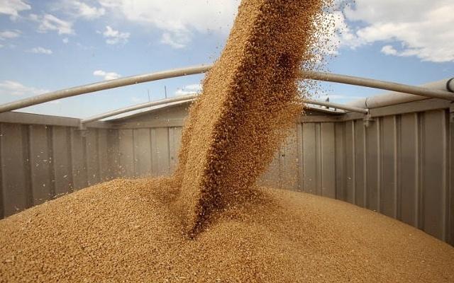 Міністерство аграрної політики та продовольства прогнозує експорт зернових на рівні 37 млн т в 2015/2016 маркетинговому році 