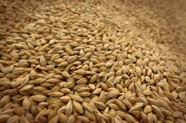 В експорті зернових стало помітним посилення азіатського вектора — Пугачов