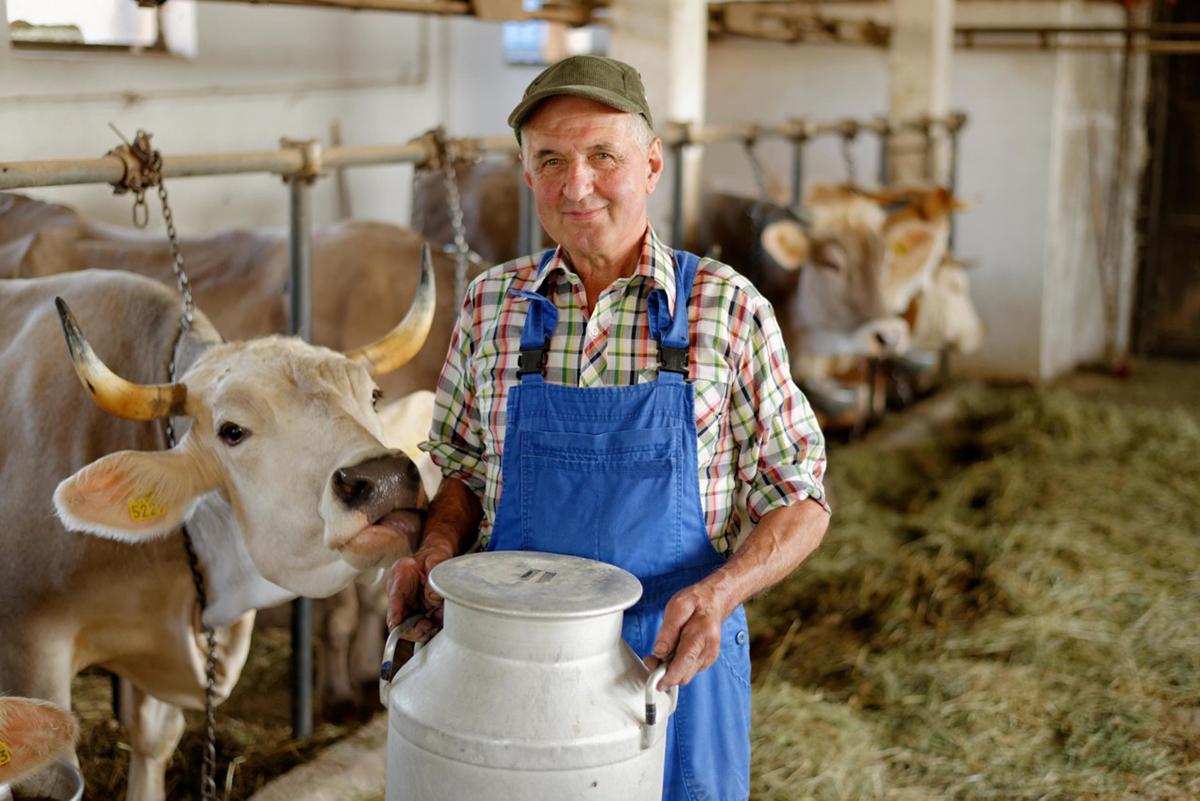 Агентство США з міжнародного розвитку відкриє на Миколаївщині сімейні молочні міні-ферми