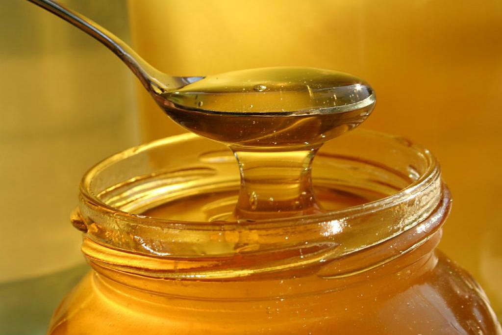 Проблему експорту уркаїнського меду в ЄС вирішено — Держветфітослужба 