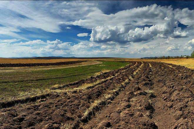 72% фермерських господарств мають площі землекористування до 100 га — Ковальова   