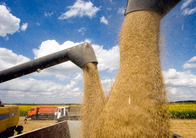 GAFTA звертається до Мінагрополітики з проханням спростити експорт зерна