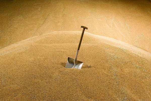 Експортери хочуть змінити зернові стандарти — Горабчов