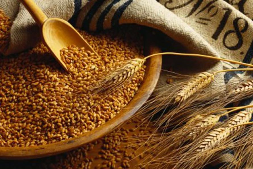 Україна продала на зовні 32 млн т зернових – Павленко