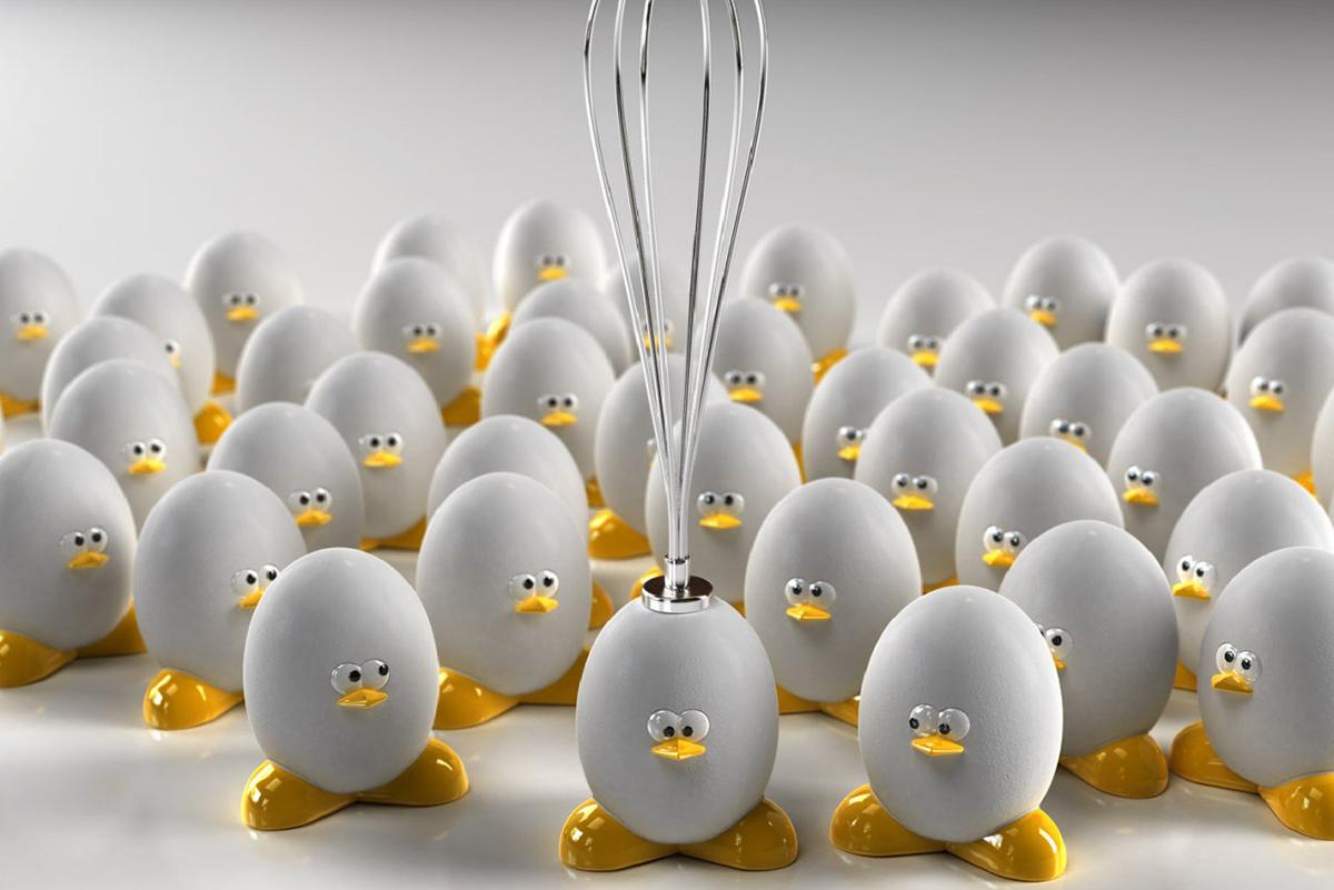 Виробництво  яєць  вУкраїні скорочується — офіційно