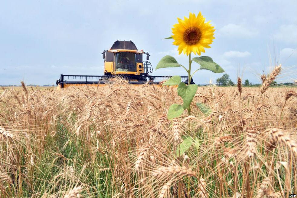 Створено п'ять сільськогосподарських кооперативів на Тернопільщині — Барна
