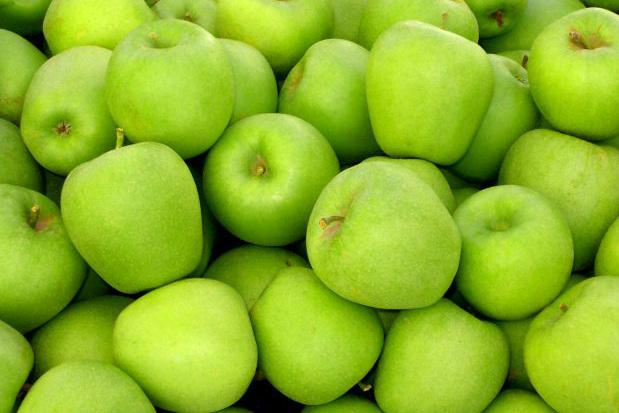 Вінниця збільшила експорт яблук до Білорусії у 18 разів — джерело