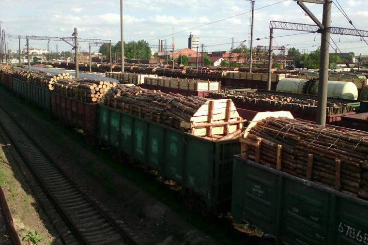 У Львові громадські активісти заблокували майже 200 вагонів з деревиною — джерело 