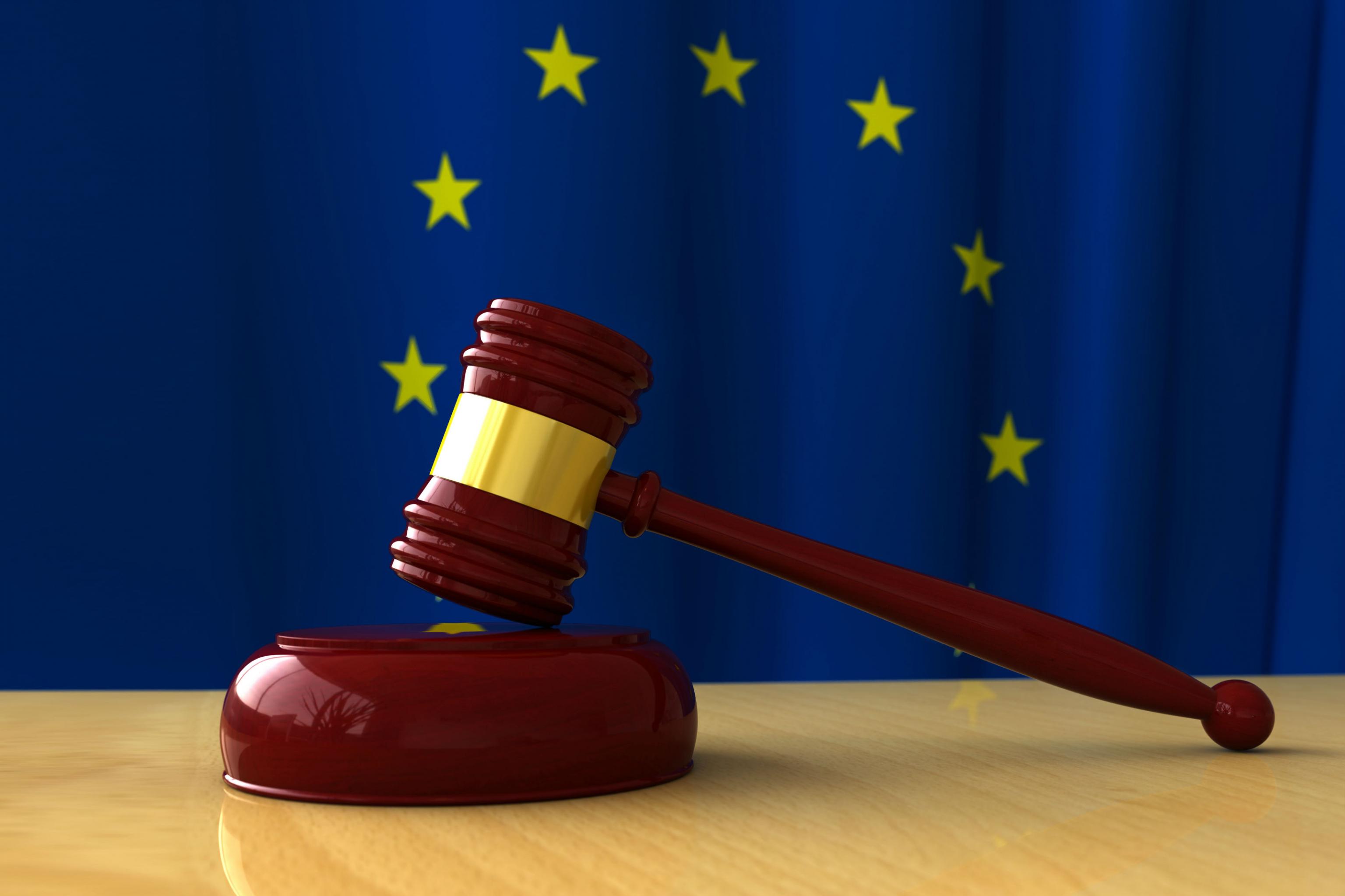 Українські власники земельних паїв скаржаться до Європейського суду — джерело