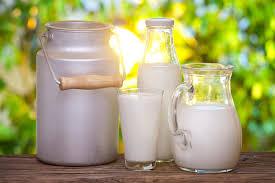«Батьківщина» вимагає адекватних цін на молоко на Кіровоградщині — офіційно 