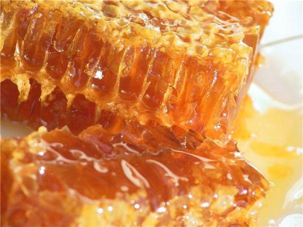 Японія зацікавлена в імпорті меду з України — Рутицька