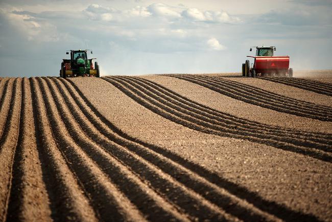 Агрохолдинги вже виконали минулорічний «план» сплати податків до бюджету — ДФСУ 