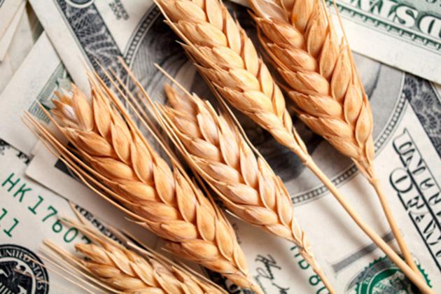 Українська зернова асоціація закликає Нацбанк до компромісу ― джерело