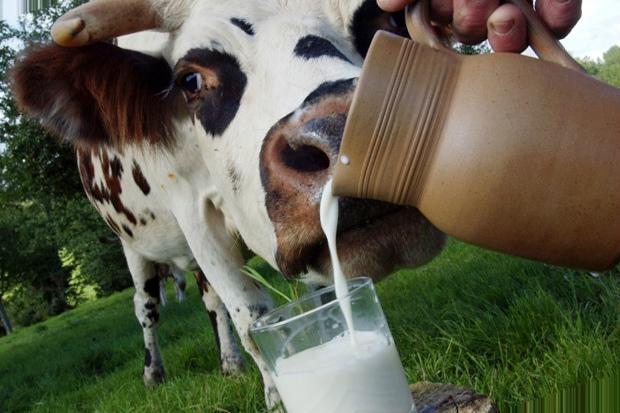 Перевезення молока не вписується у літній графік ― Мовчан