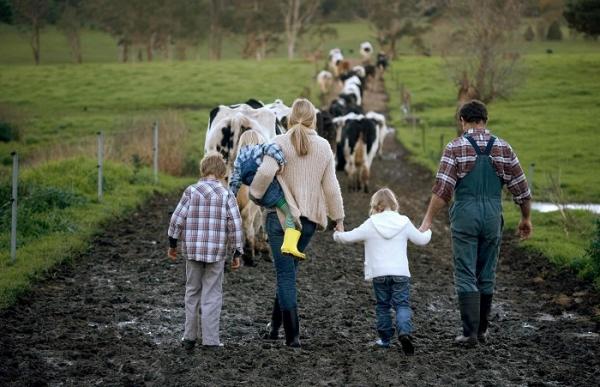 Сімейні ферми можуть починати рух вперед