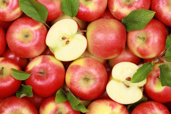 Два виробника яблук отримали сертифікат ЄС для експорту