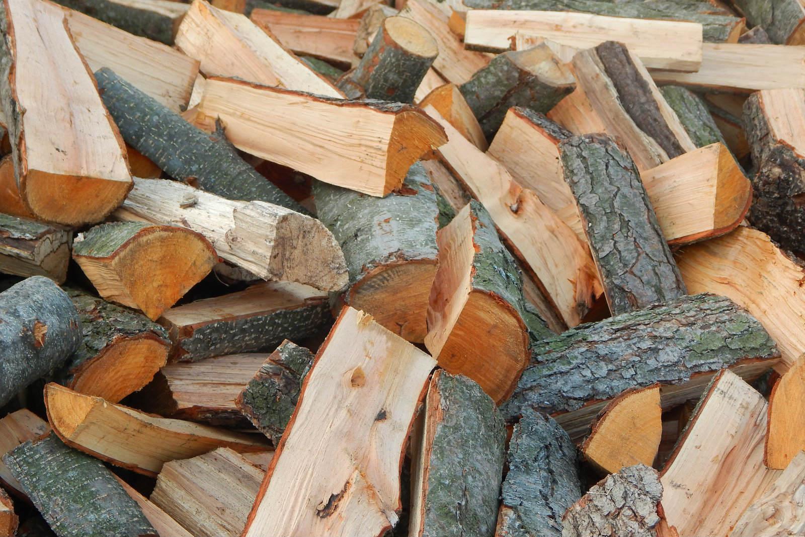 Українських дров вистачить усьому населенню