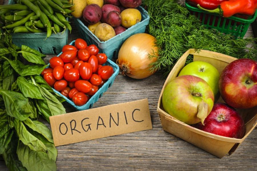 Органічним виробникам допоможуть вийти на зовнішні ринки