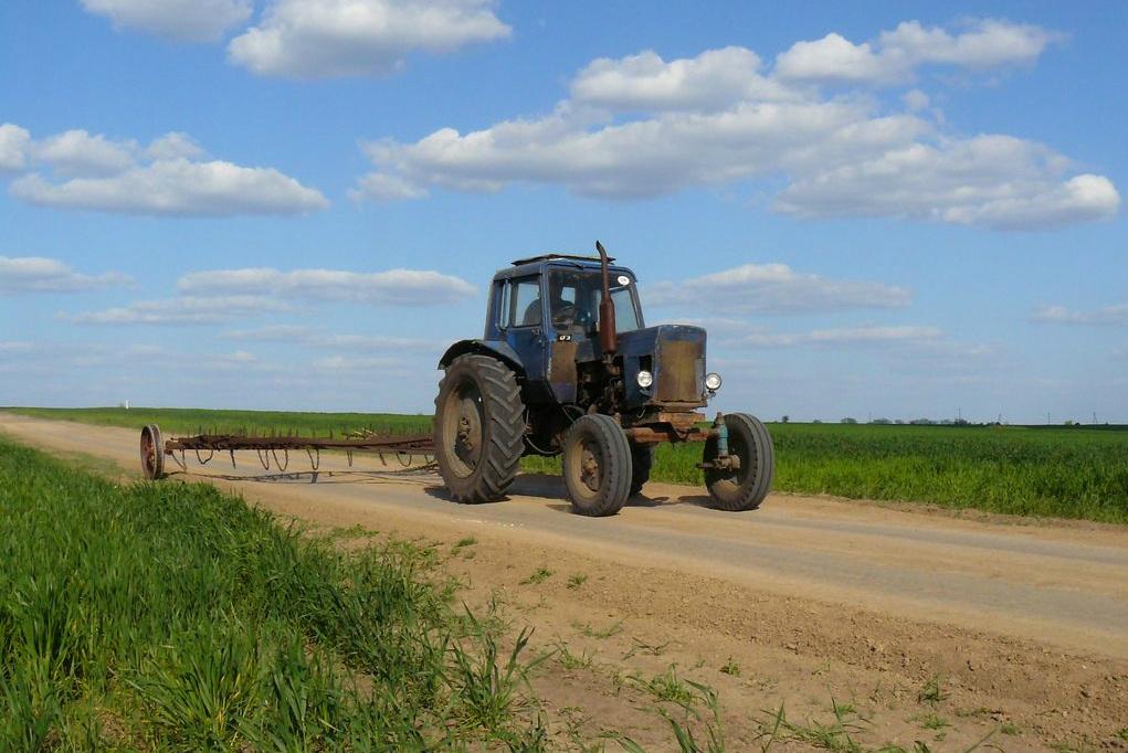Фермерам в Україні не вистачає економічної освіти