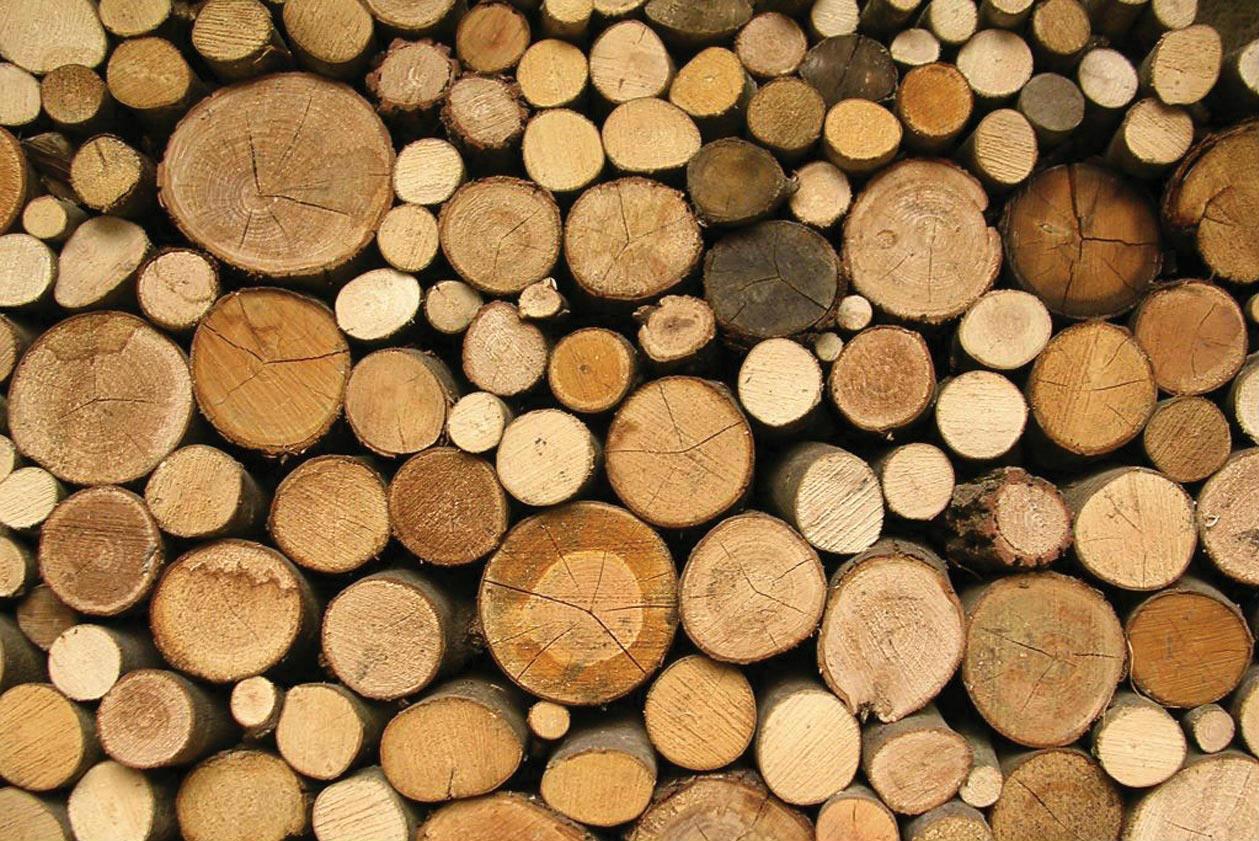 Українська деревообробна промисловості збільшилась на 15% 