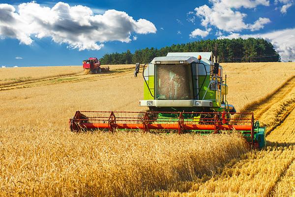Аграрний сектор найприбутковіший в економіці України