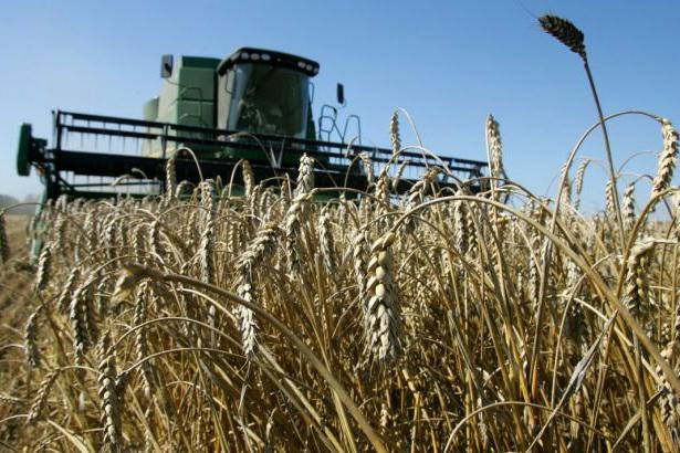 На Черкащині сільгоспвиробництвам відшкодували 700 тис. грн втрат