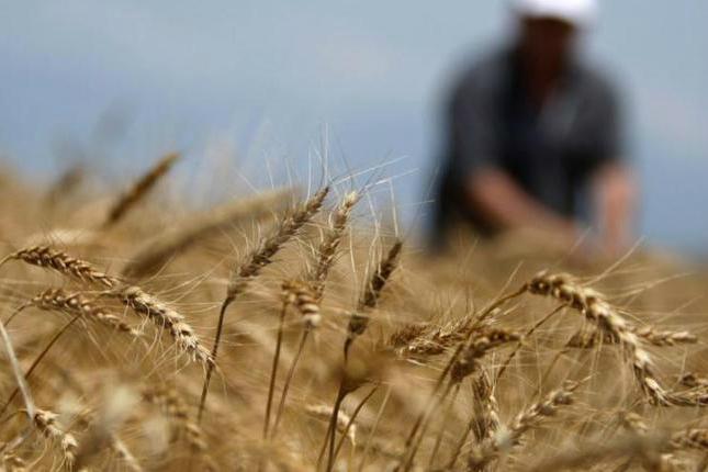 В українських фермерів держпідтримка стане як у європейських