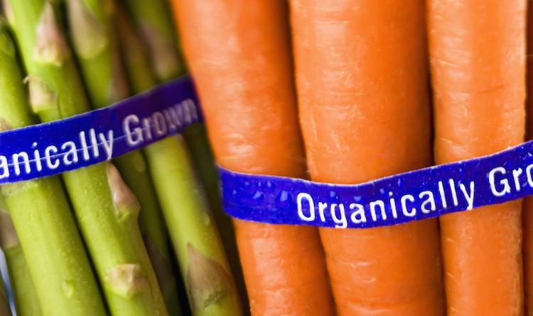Ринок внутрішнього споживання органічної продукції в Україні зросте на 17,6%